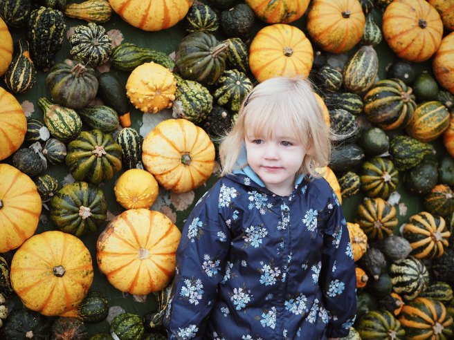 2019-10-22 011756336034525045750..jpg