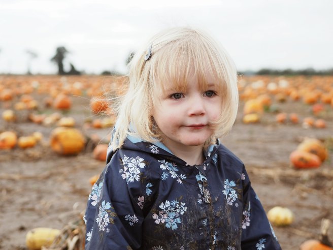 2019-10-22 015737855060589192927..jpg