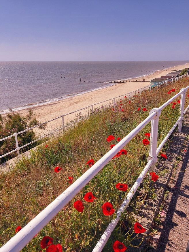 20200623_100424(0) (2).jpg